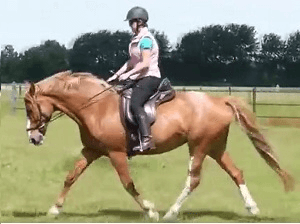 Het rijden van diagonale om je paard te verbeteren